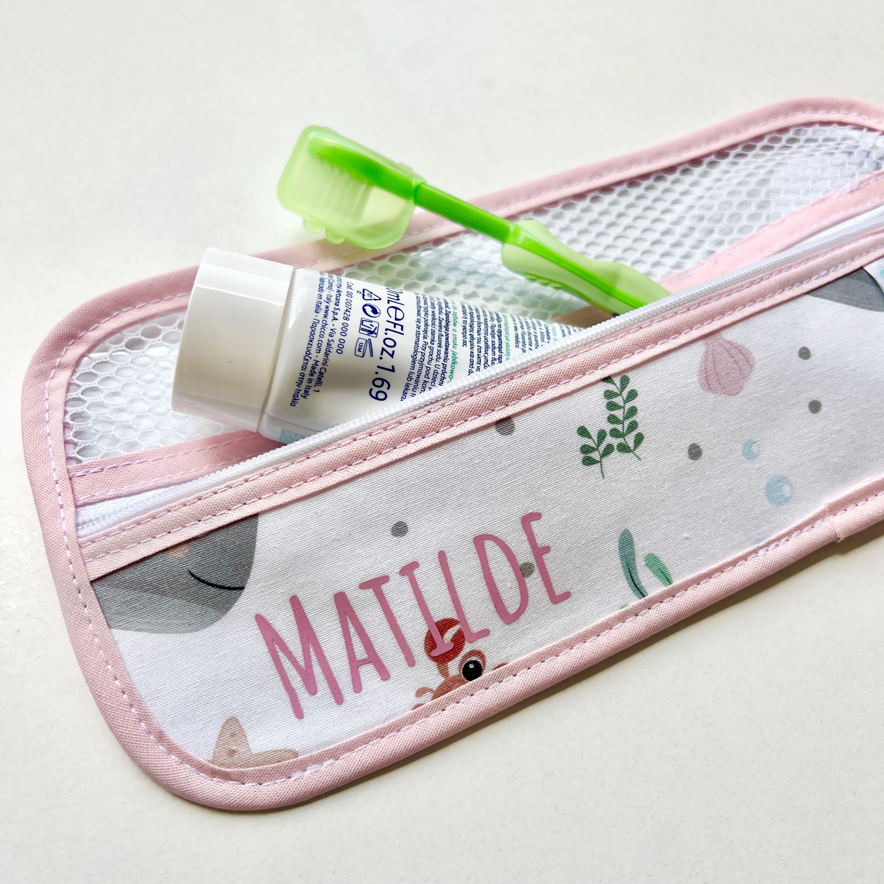 Toothbrush bag